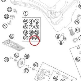 BOULON CREUX DE RACCO M8X1 KTM — 58038029000