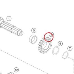 Idler gear, 5th gear, teeth 21 KTM — 50533105000